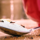 Image for article titled How to Keep Bugs Out of Your Kitchen